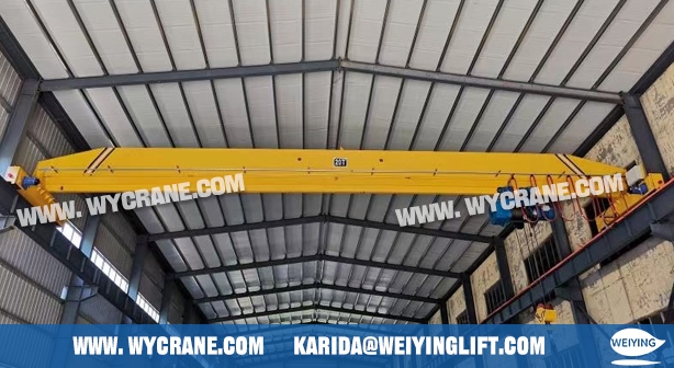 sway-control-crane